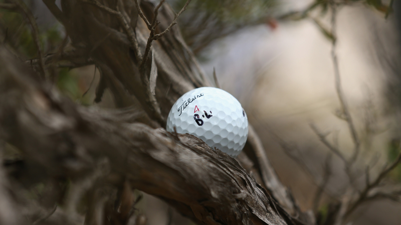 What Is The Golf Rule If My Ball Gets Stuck Up A Tree? | Golf Monthly