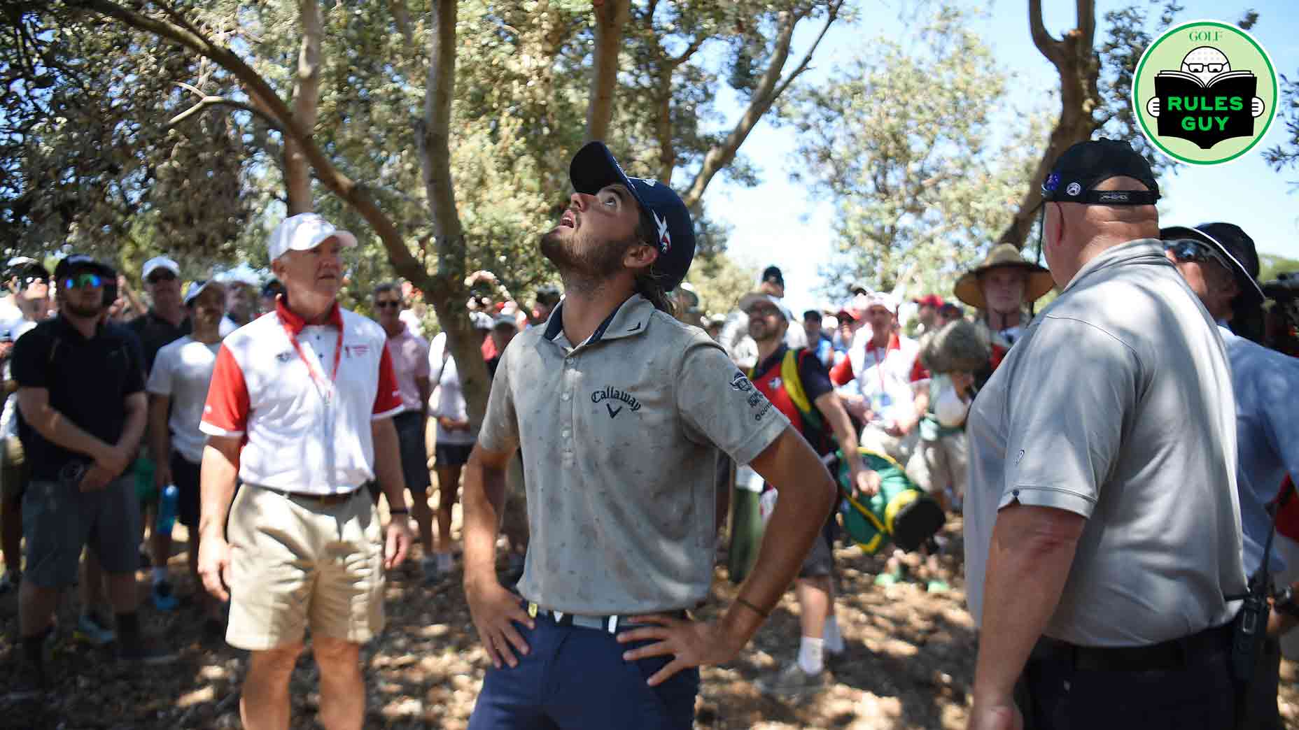 If a golf ball gets stuck in a tree, is it considered lost or unplayable?